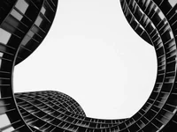 curved black and white architectural panels