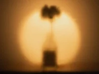 Unfocused illuminated flower sitting on a table